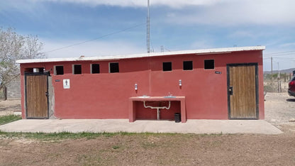 Garden with large trees in Samalyuca