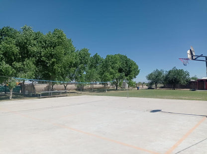 Garden with large trees in Samalyuca