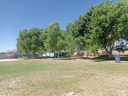 Garden with large trees in Samalyuca
