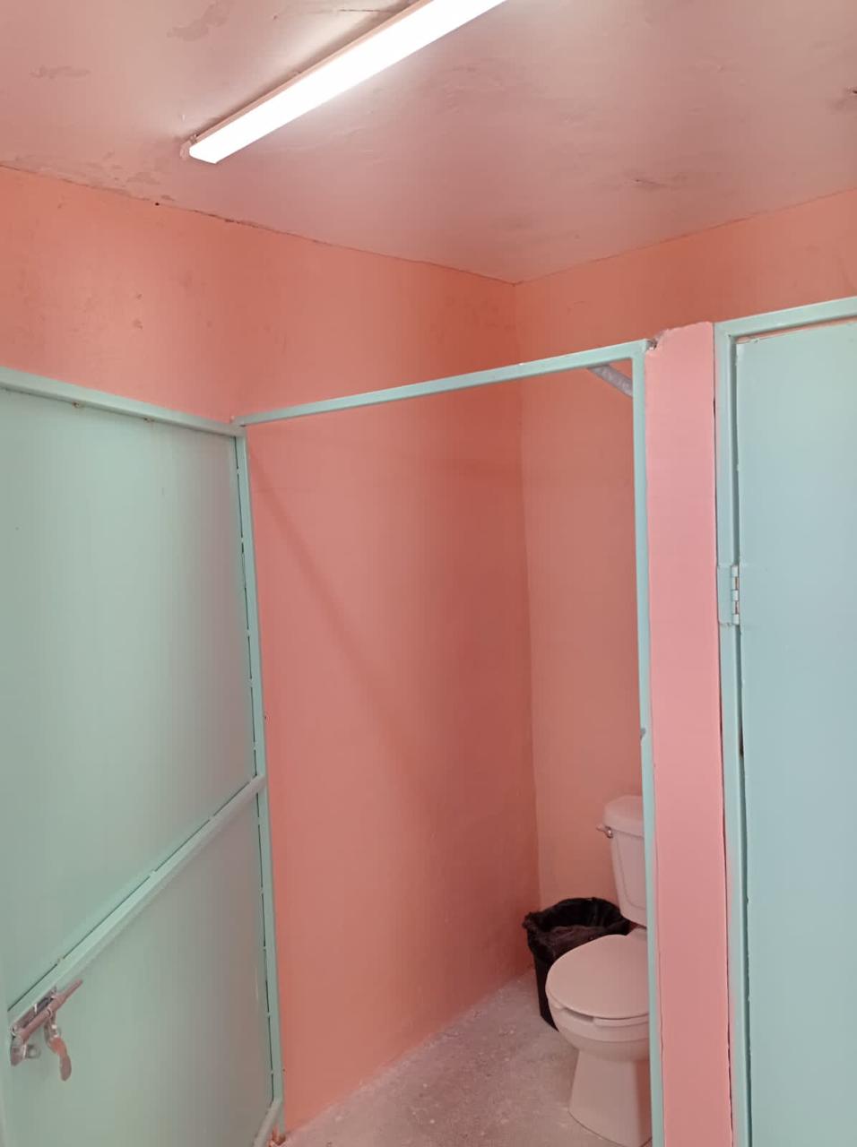 Garden with large trees in Samalyuca