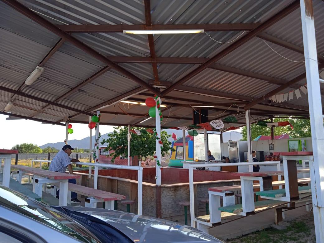 Garden with large trees in Samalyuca