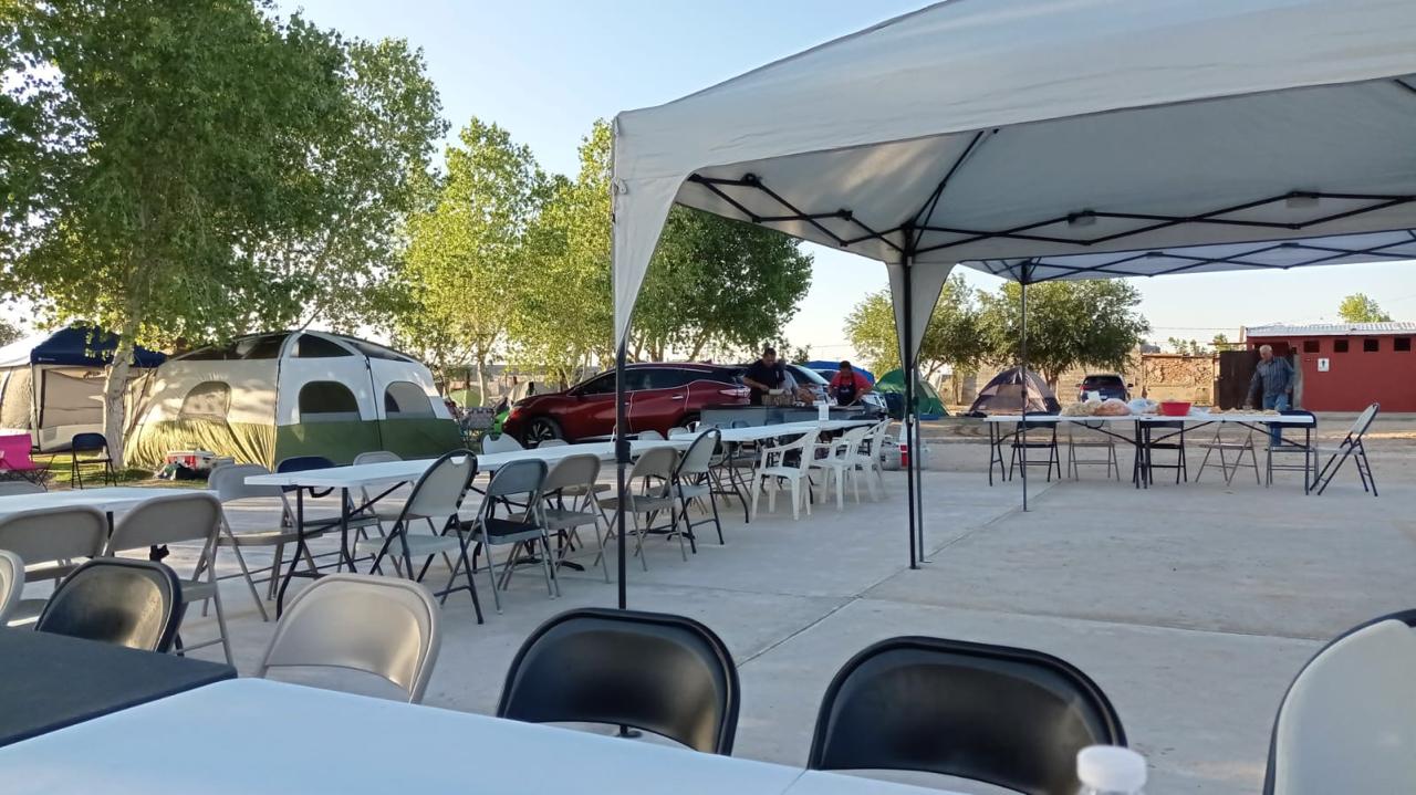Garden with large trees in Samalyuca