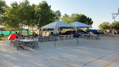 Garden with large trees in Samalyuca